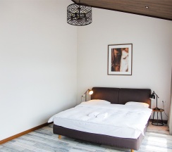 номер стандартный 207 в Панорама