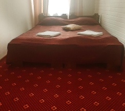 Номер эконом с 1 двуспальной кроватью (удобства на этаже) в Svarog art hotel