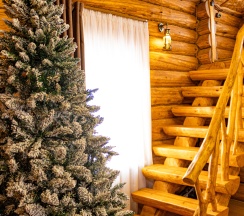 Шале в Красный городок