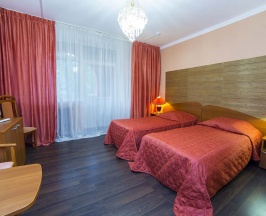 «DeLuxe» одноместный в Покровское