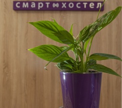 Кровать в мужском 8-ми местном номере в Сова