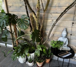 Двухместный семейный коттедж с видом на окрестности двуспальная кровать в Fraubu.camp