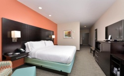 Двухместный номер Deluxe двуспальная кровать в Holiday Inn Express & Suites Austin South, an IHG Hotel