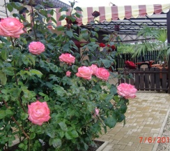 Люкс Однокомнатный большой в Якорь