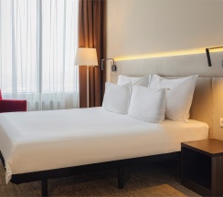 Business Double в Gorskiy city hotel