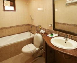 Одноместный номер Deluxe в Nazri Resort