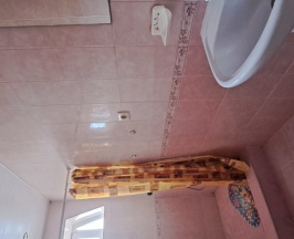 Стандарт 3местный в Алиса