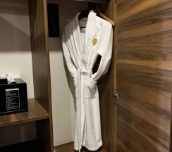 Одноместный номер Deluxe в Baku Hotel