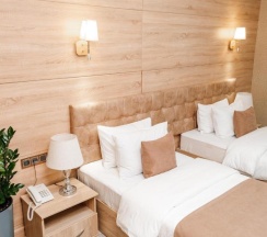 Двухместный номер Standard 2 отдельные кровати в Отель Central Palace Hotel