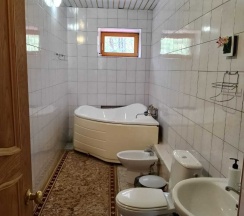 Номер комфорт с 1 двуспальной кроватью в Ургуново