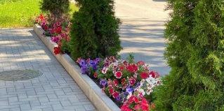 Рыбное: Мини-отель Корона