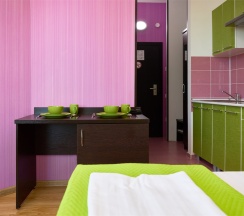 ТВИН без балкона в Диса