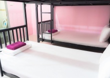 Кровать в общем номере в Beehive Magenta Patong Hostel