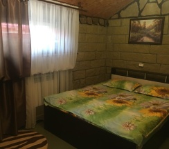 Коттедж в Ковчег у реки