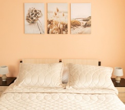 Семейный номер  в Брусника