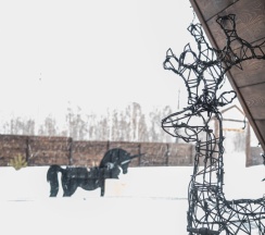 Счастье в Hut house