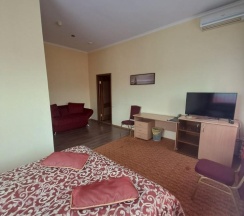 Номер полулюкс в Шатура холл