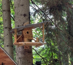 Четырехместный гостевой домик "Релакс" 35 кв. м. в Архыз шале хаус