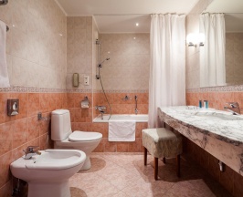 Номер студия с 1 двуспальной кроватью в Moscow country club