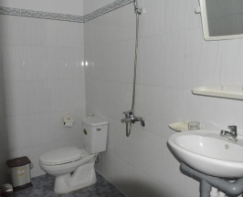 Двухместный номер Standard двуспальная кровать в Diem Lien Guesthouse