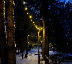 Тент-хаус в сосновом лесу в Синий Яр