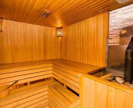 Номер люкс улучшенный в Ника