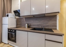 1-комнатные апартаменты люкс Попова 18 в Pashk Inn Apartments (Пашк Инн Апартментс) на улице Попова