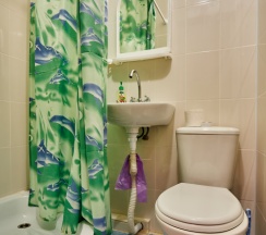 Двухместный номер Standard с балконом и с красивым видом из окна 2 отдельные кровати в Ореховый