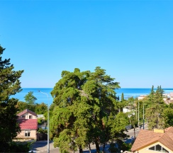 Стандарт ТВИН с балконом в Диса