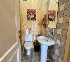 Коттедж премиум в Гридино village