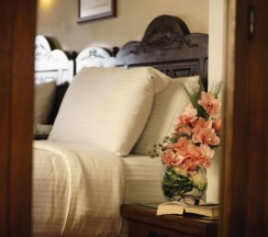 Двухместный номер Classic с красивым видом из окна 2 отдельные кровати в Mövenpick Resort Sharm El Sheik Naama Bay