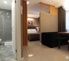 номер - студия Делюкс, одна двухспальная кровать в Hoffman residence