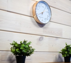 Стандарт в Заимка Лесника