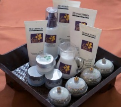 Люкс в Bangkok Natural Spa Resort and Suite