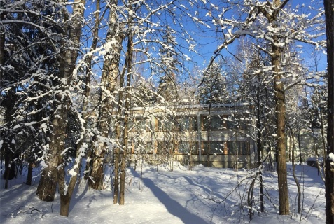 Одинцовский городской округ: Отель Каморка с лежанкой у окна