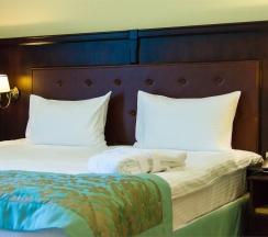 Стандарт c двухспальной кроватью в Биляр Палас Отель