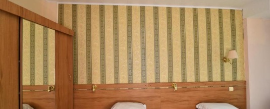 Двухместный номер Economy с балконом и с видом на сад 2 отдельные кровати в Hotel Ambassador