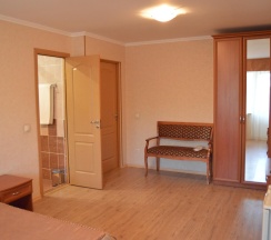 1-местный номер комфорт в Оптималь