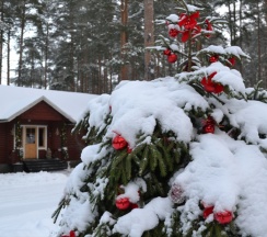 номер люкс №1 с отдельным входом в Green village