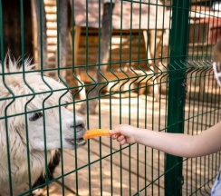 Коттедж "Вязаный" (2 спальни) 94 м2 в Руза Фэмили Парк
