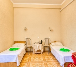 Двухместный номер без окна Бюджетный 2 отдельные кровати в Аист