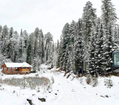 Полулюкс новый в Телецкое Золотое