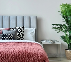 Deluxe в Raido.Moscow Sky