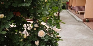 Витязево: Гостевой дом SunnyHouse