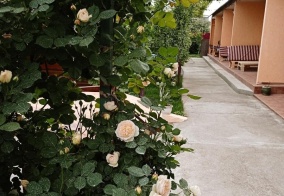 Гостевой дом SunnyHouse в Витязево