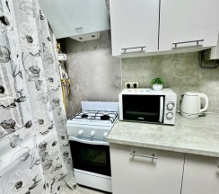 Двухместные апартаменты (двуспальная кровать) в Квартира С Новым Ремонтом , В Лучшем Районе