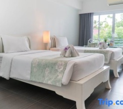 Одноместный номер Superior в Cera Resort Chaam