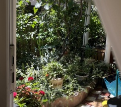 Двухкомнатные апартаменты в Гавань-Адлер