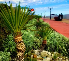 Люкс с балконом и видом на море в Кавказ