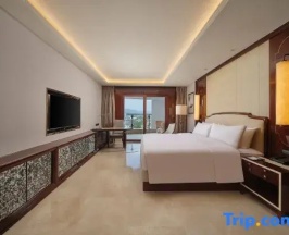 Двухместный номер Comfort (двуспальная кровать) в Tangla Hotel Sanya